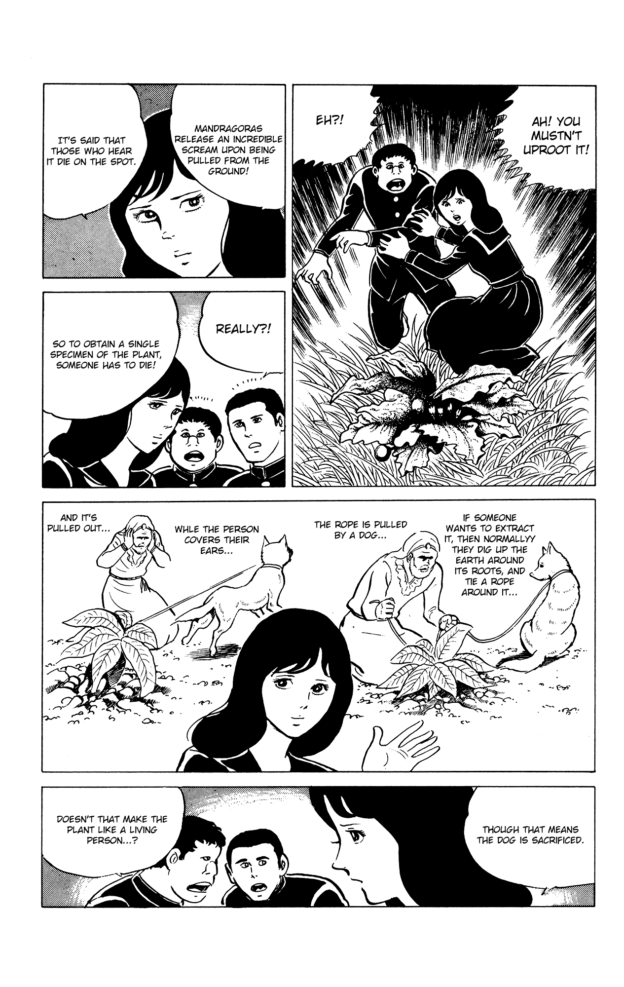 Eko Eko Azaraku Chapter 26 page 5 - Chapter 26: The Mandragora Nostrum
