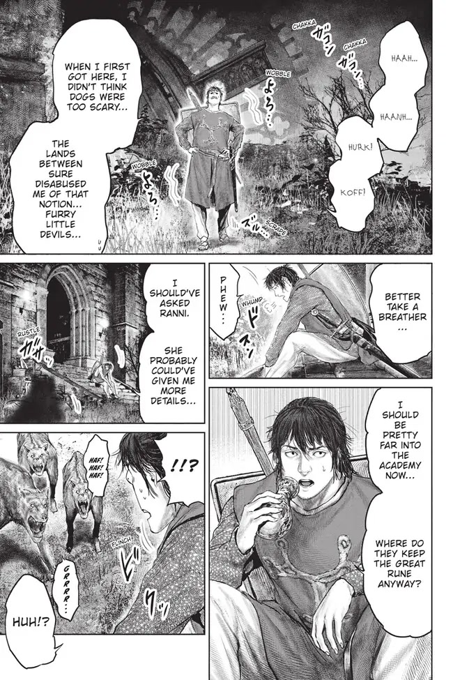 Elden Ring: The Road to the Erdtree Chapter 23 page 17 - Chapter 23
