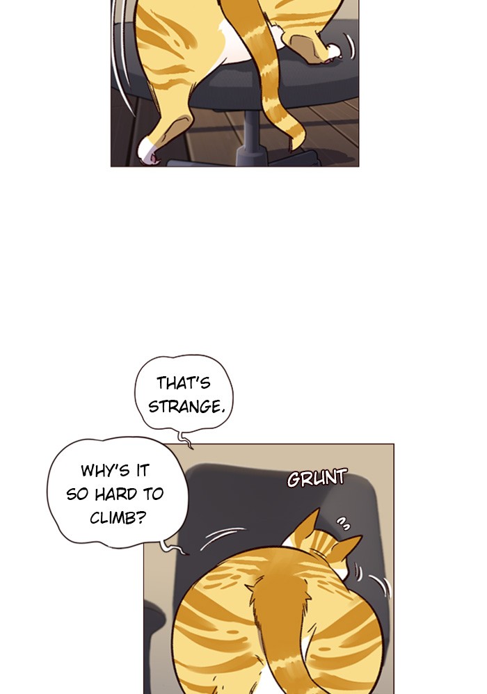 Eleceed Chapter 1 page 96 - Chapter 1: Episode 1
