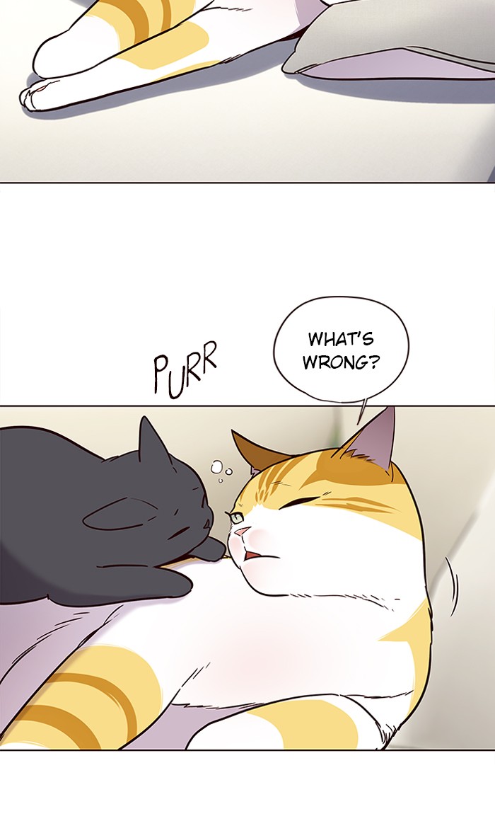 Eleceed Chapter 101 page 3 - Chapter 101: Episode 101