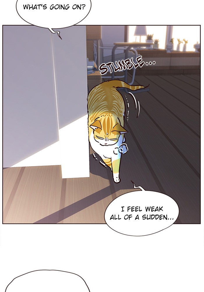 Eleceed Chapter 11 page 27 - Chapter 11: Episode 11