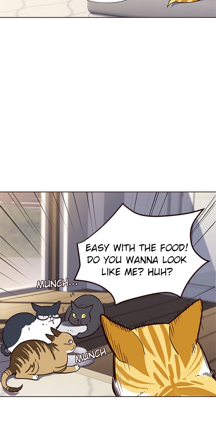 Eleceed Chapter 17 page 43 - Chapter 17: Episode 17