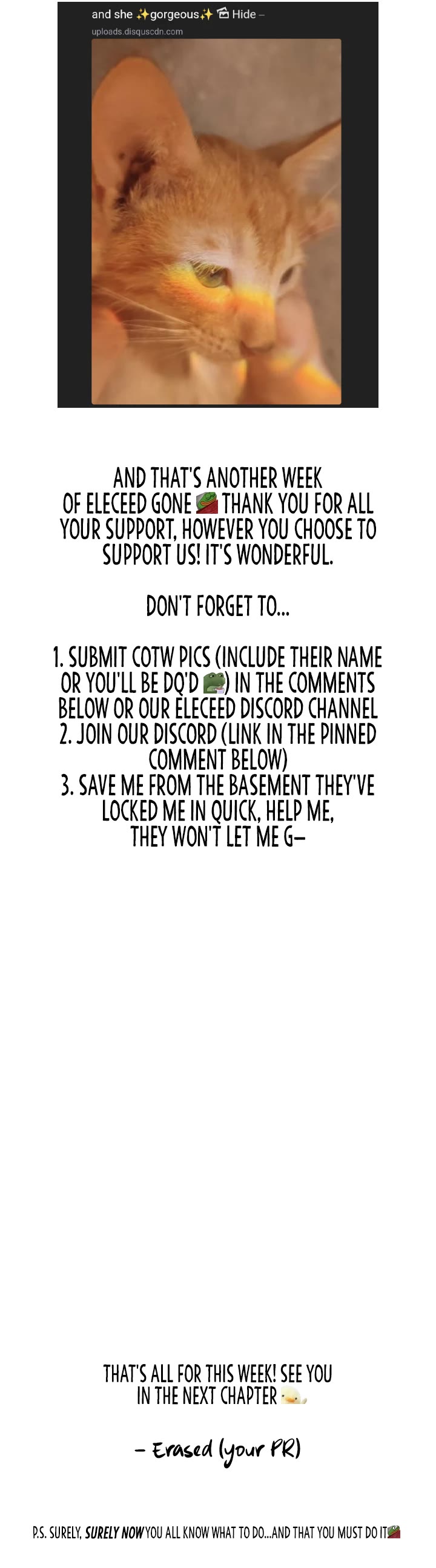 Eleceed Chapter 249 page 55 - Chapter 249