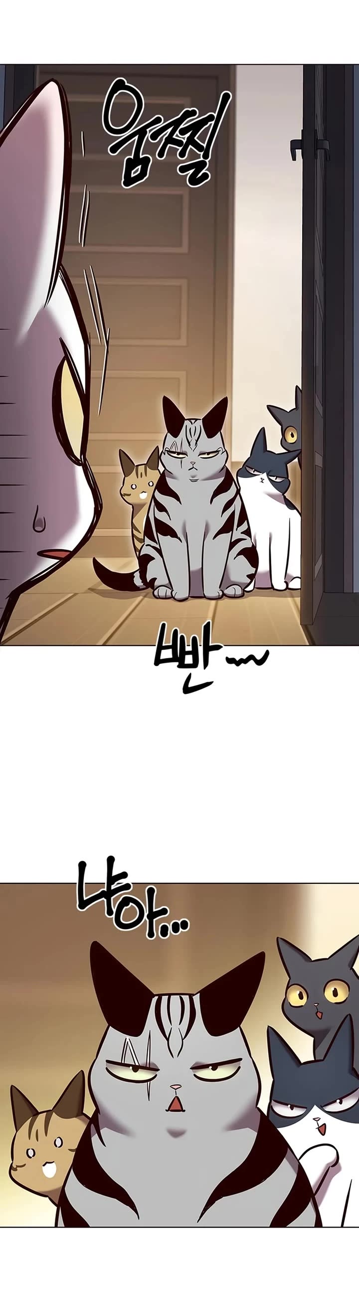 Eleceed Chapter 262 page 41 - Chapter 262