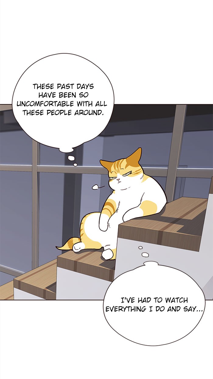 Eleceed Chapter 35 page 42 - Chapter 35: Episode 35