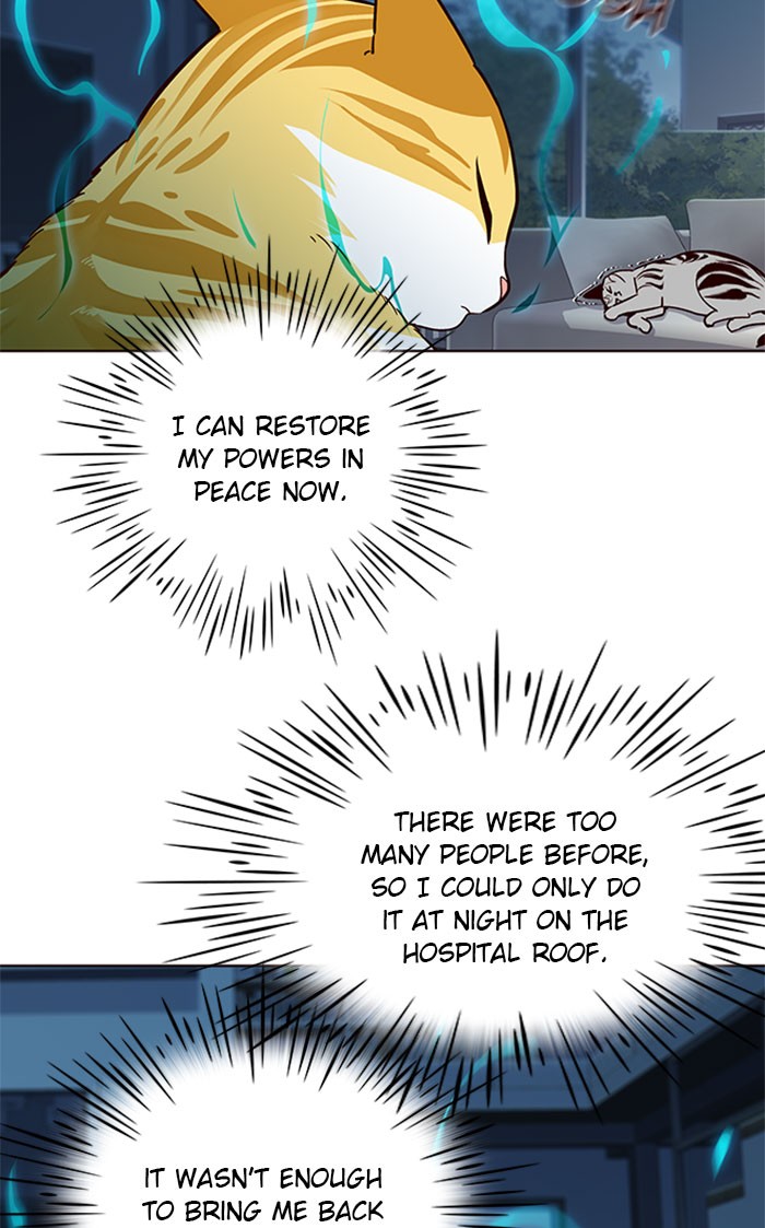 Eleceed Chapter 37 page 44 - Chapter 37: Episode 37