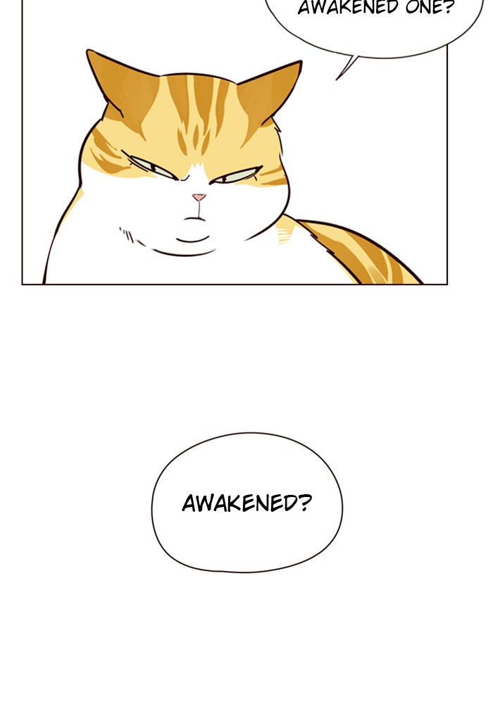 Eleceed Chapter 4 page 31 - Chapter 4: Episode 4