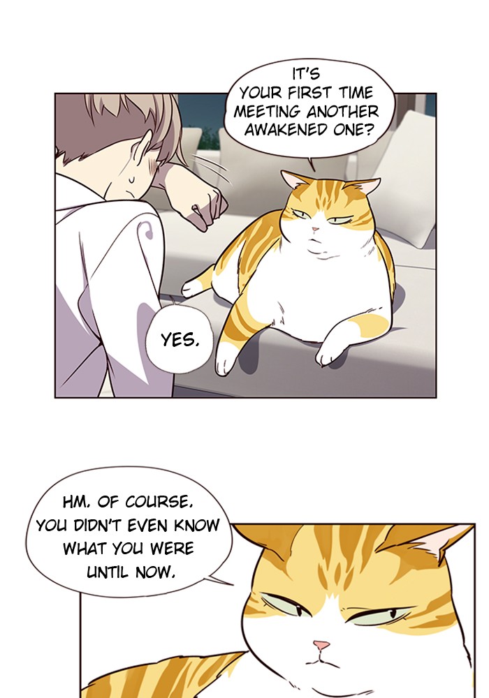 Eleceed Chapter 4 page 48 - Chapter 4: Episode 4