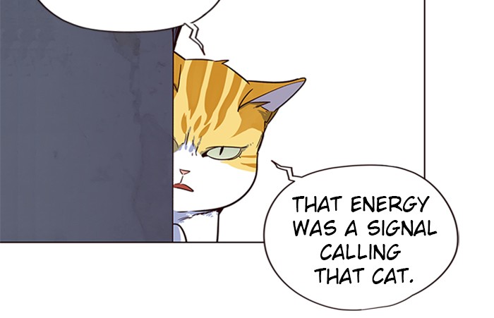 Eleceed Chapter 5 page 48 - Chapter 5: Episode 5