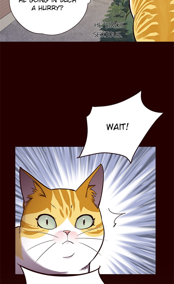 Eleceed Chapter 52 page 40 - Chapter 52: Episode 52