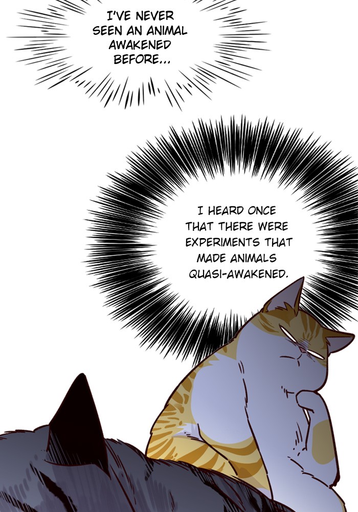 Eleceed Chapter 6 page 12 - Chapter 6: Episode 6