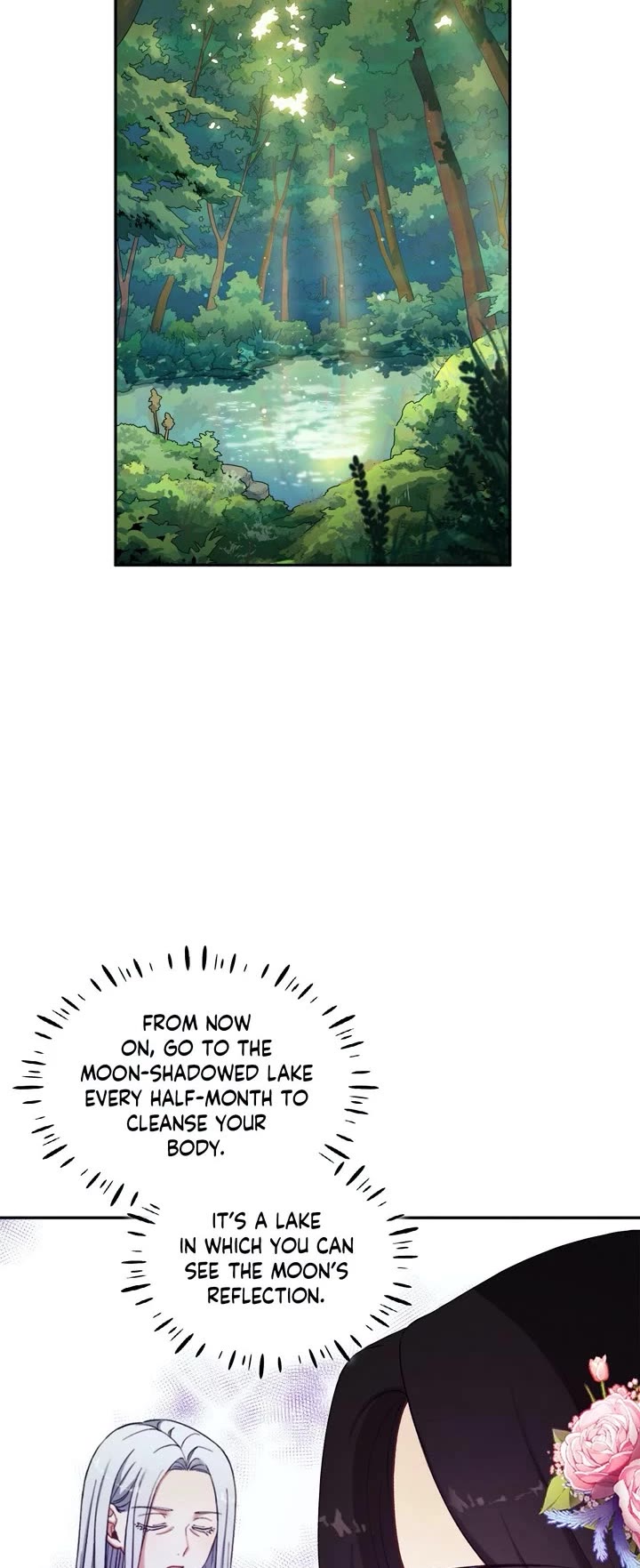 Elixir of the Sun Chapter 22 page 9 - Chapter 22