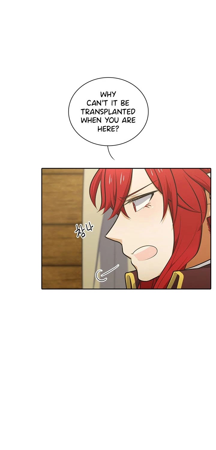 Elqueeness Chapter 158 page 37 - Chapter 158