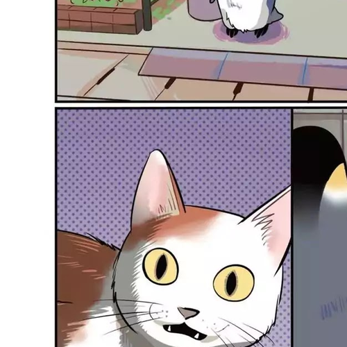 Emperor and I Chapter 6: Emperor and the Outside World cover