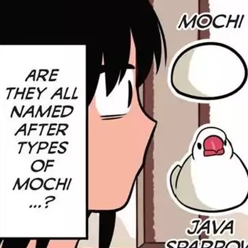 Emperor and I vol.2: Reina and the Java Sparrow cover