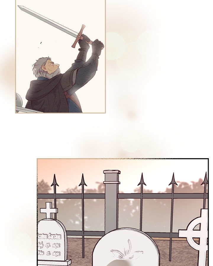Emperor And The Female Knight Chapter 12 page 13 - Chapter 12