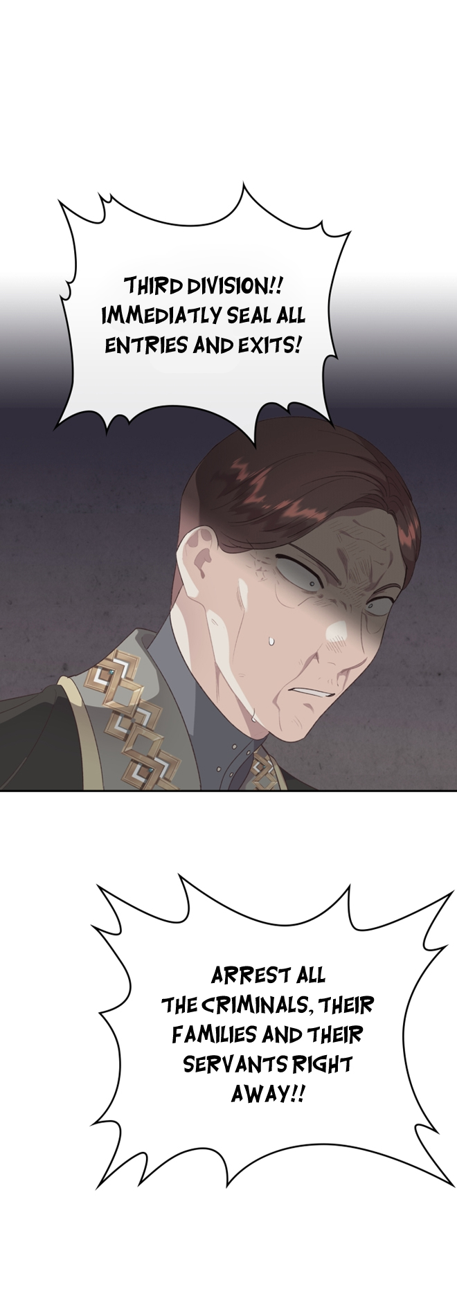 Emperor And The Female Knight Chapter 136 page 27 - Chapter 136