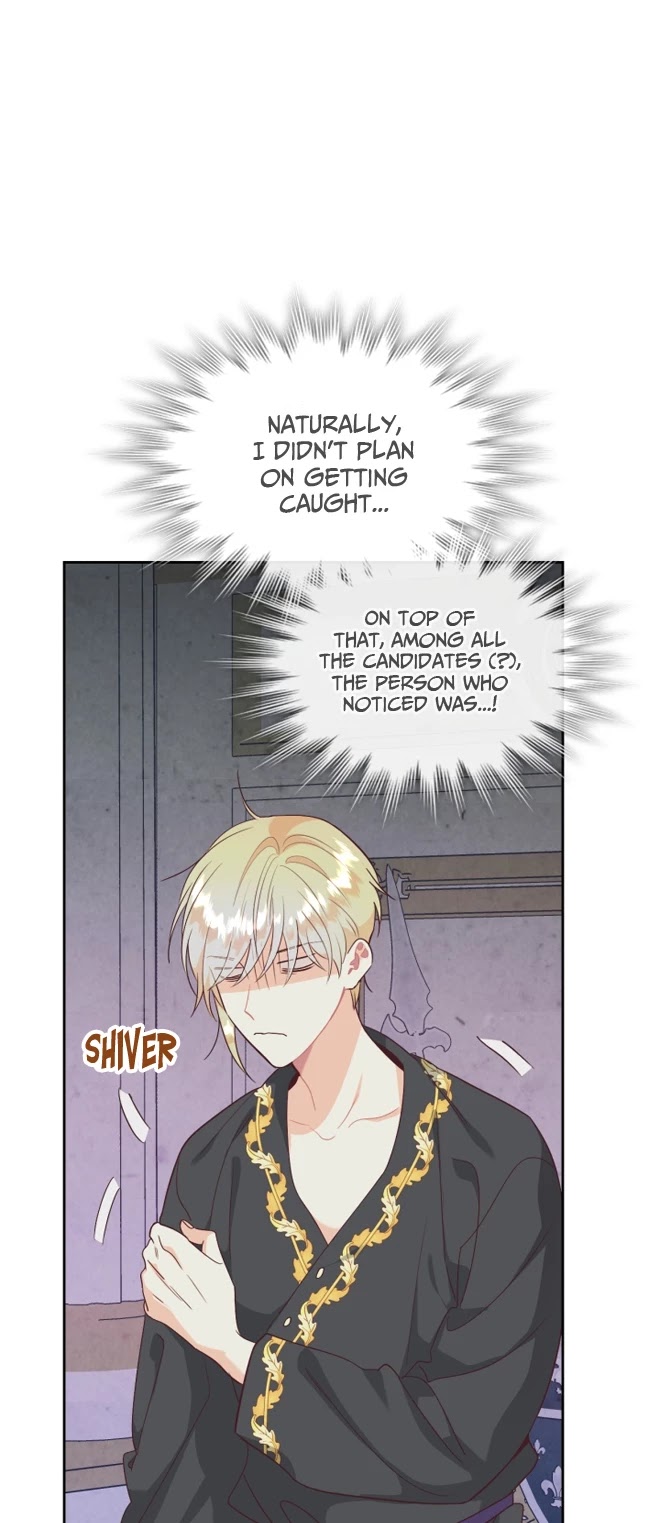 Emperor And The Female Knight Chapter 140 page 3 - Chapter 140