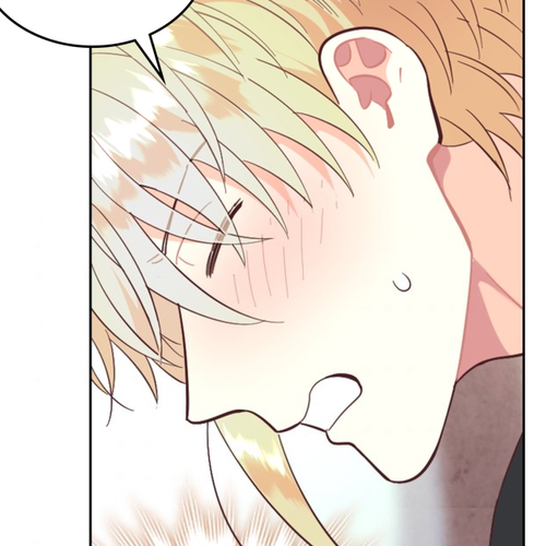 Emperor And The Female Knight Chapter 147 cover