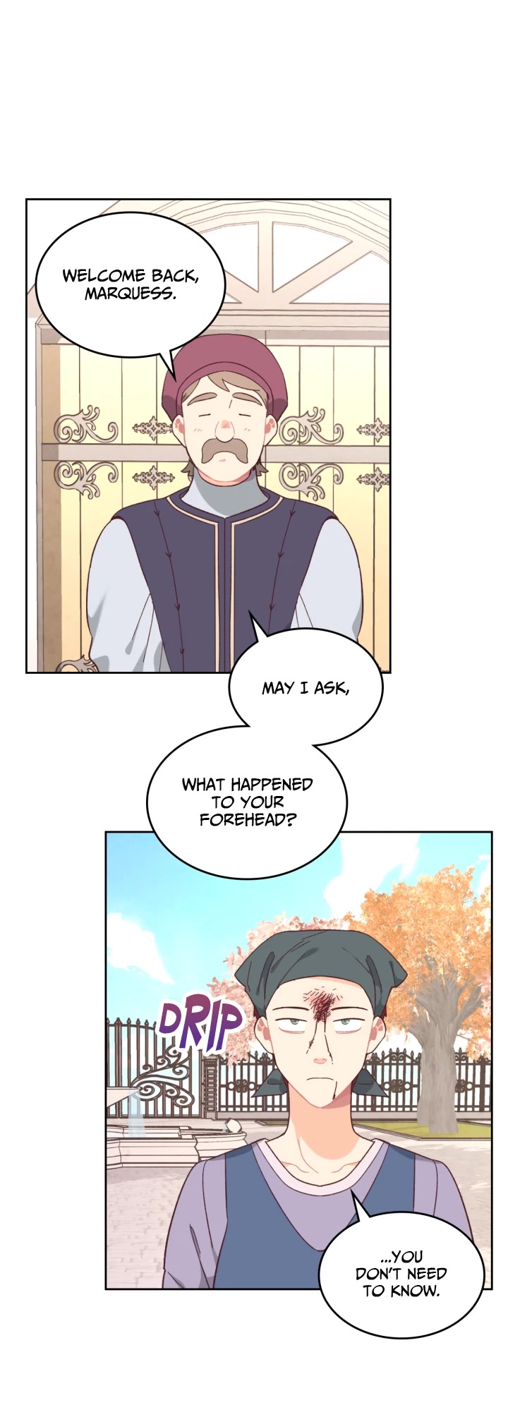 Emperor And The Female Knight Chapter 152 page 17 - Chapter 152