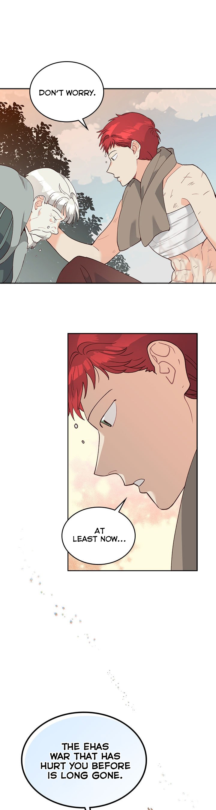 Emperor And The Female Knight Chapter 20 page 29 - Chapter 20