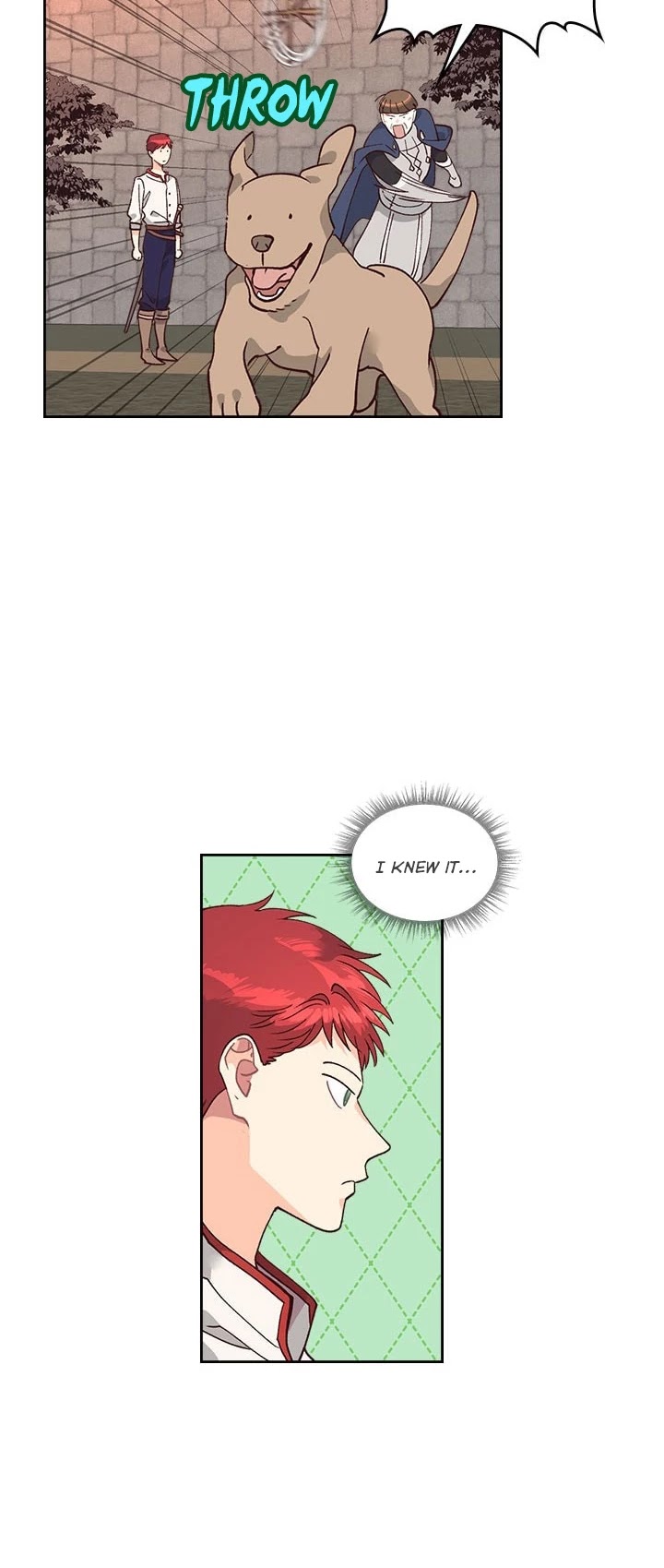 Emperor And The Female Knight Chapter 27 page 14 - Chapter 27