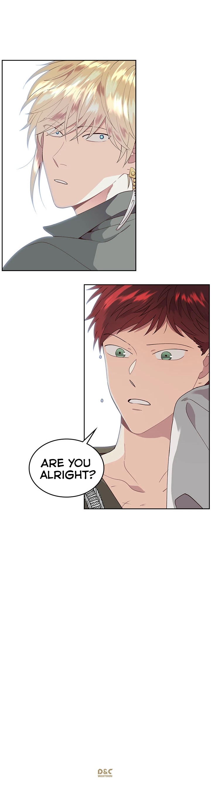 Emperor And The Female Knight Chapter 37 page 25 - Chapter 37