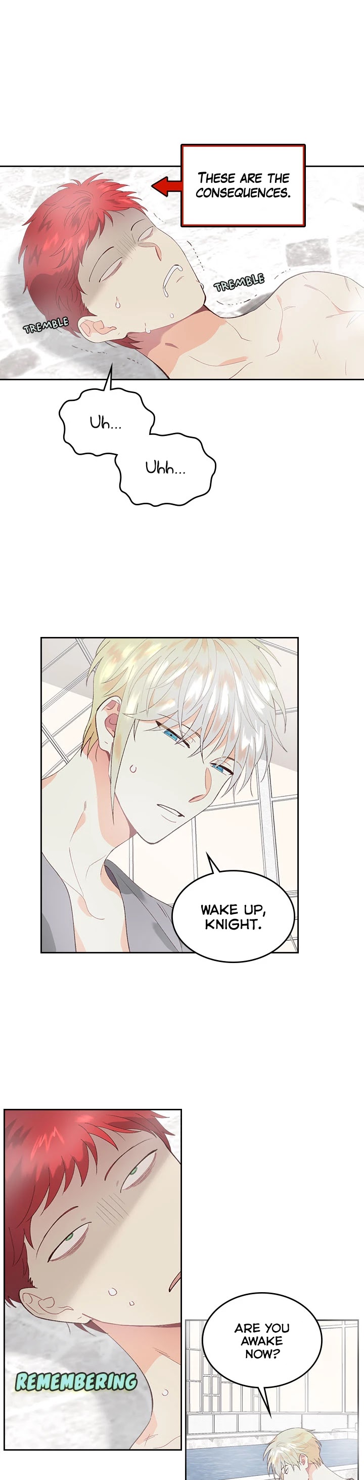 Emperor And The Female Knight Chapter 46 page 6 - Chapter 46