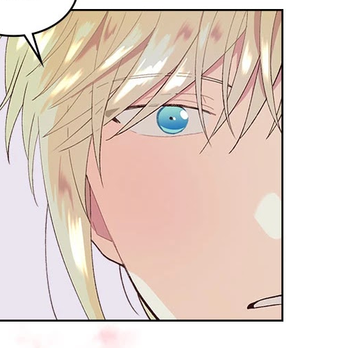 Emperor And The Female Knight Chapter 46 cover