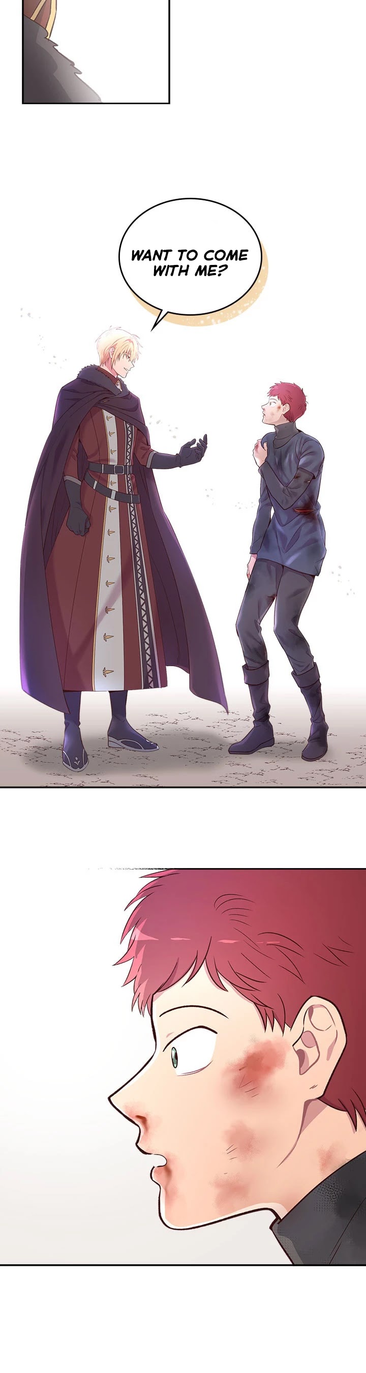 Emperor And The Female Knight Chapter 7 page 4 - Chapter 7