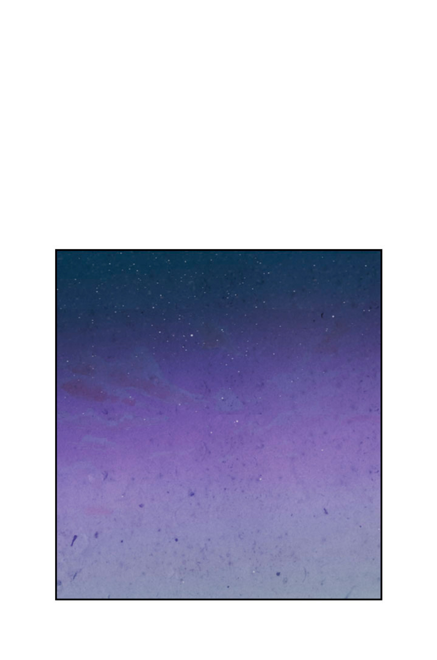 Emperor And The Female Knight Chapter 89 page 32 - Chapter 89