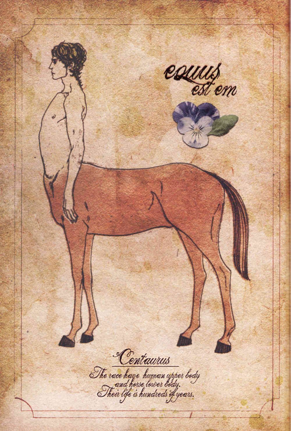 Equus Chapter 1 page 4 - Chapter 1: Dun Black