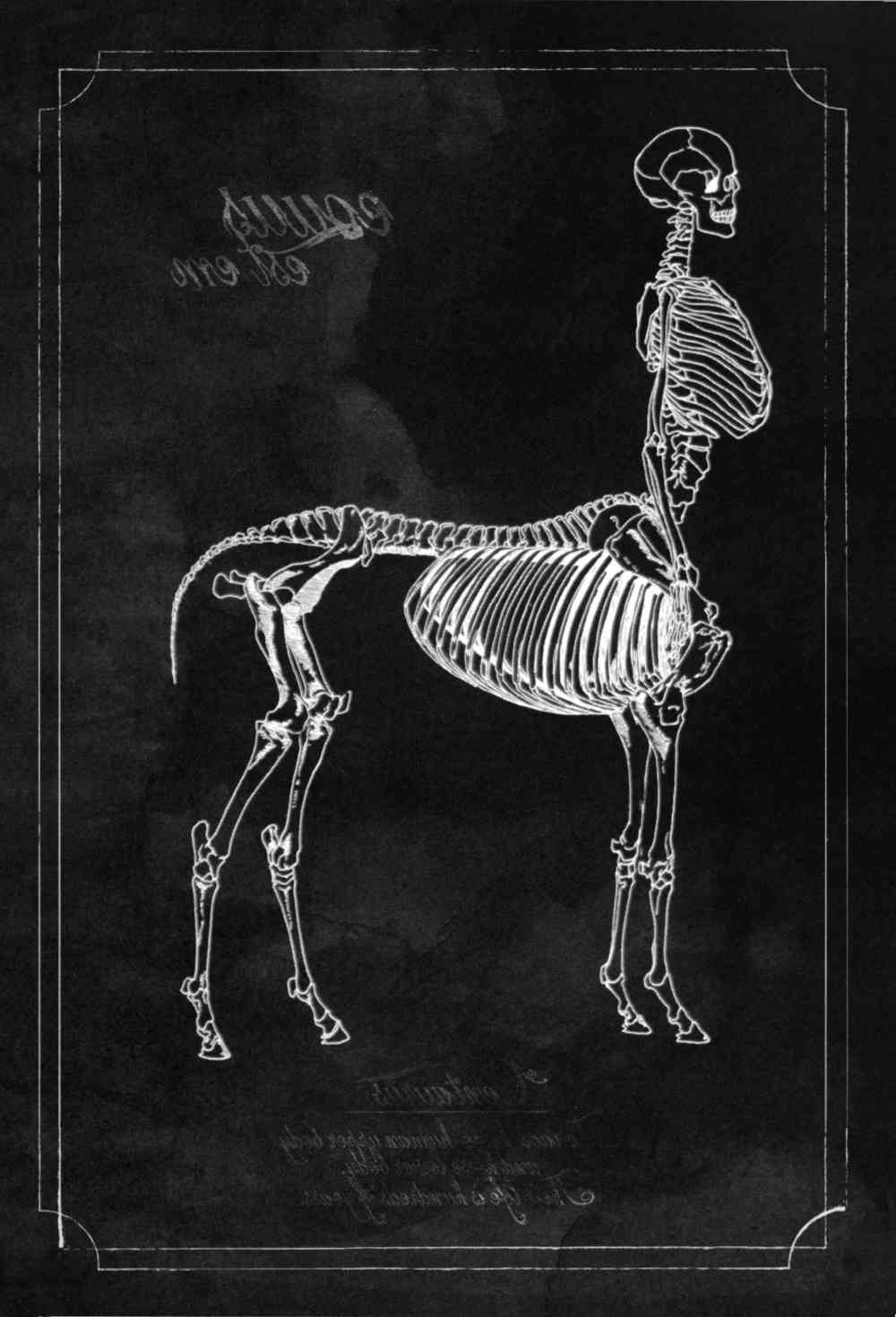 Equus Chapter 1 page 5 - Chapter 1: Dun Black