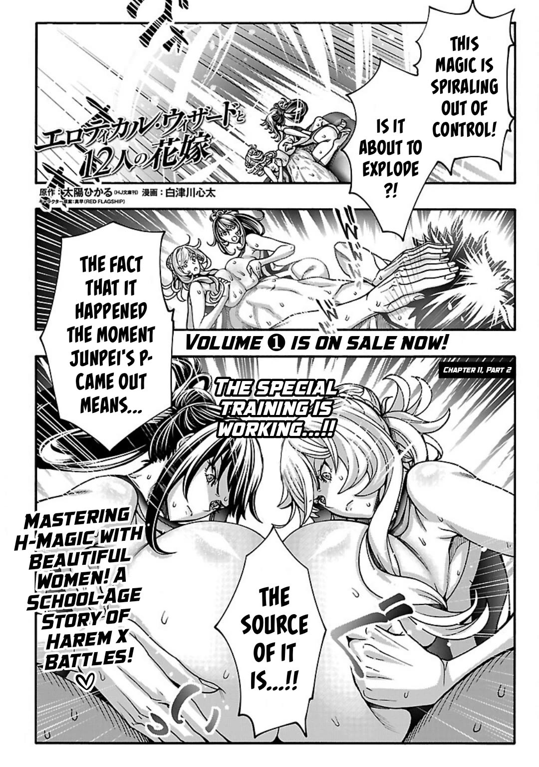 Erotical Wizard and 12 Brides Chapter 11.2 page 2 - Chapter 11.2