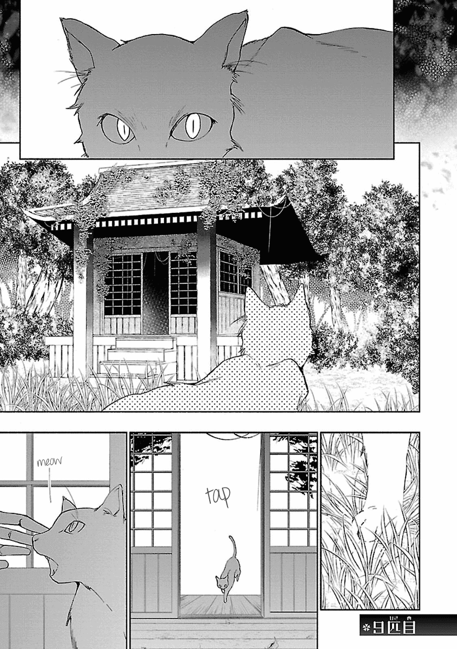 Eto Royale Chapter 9 page 2 - Chapter 9: A cornered cat will bite a dog