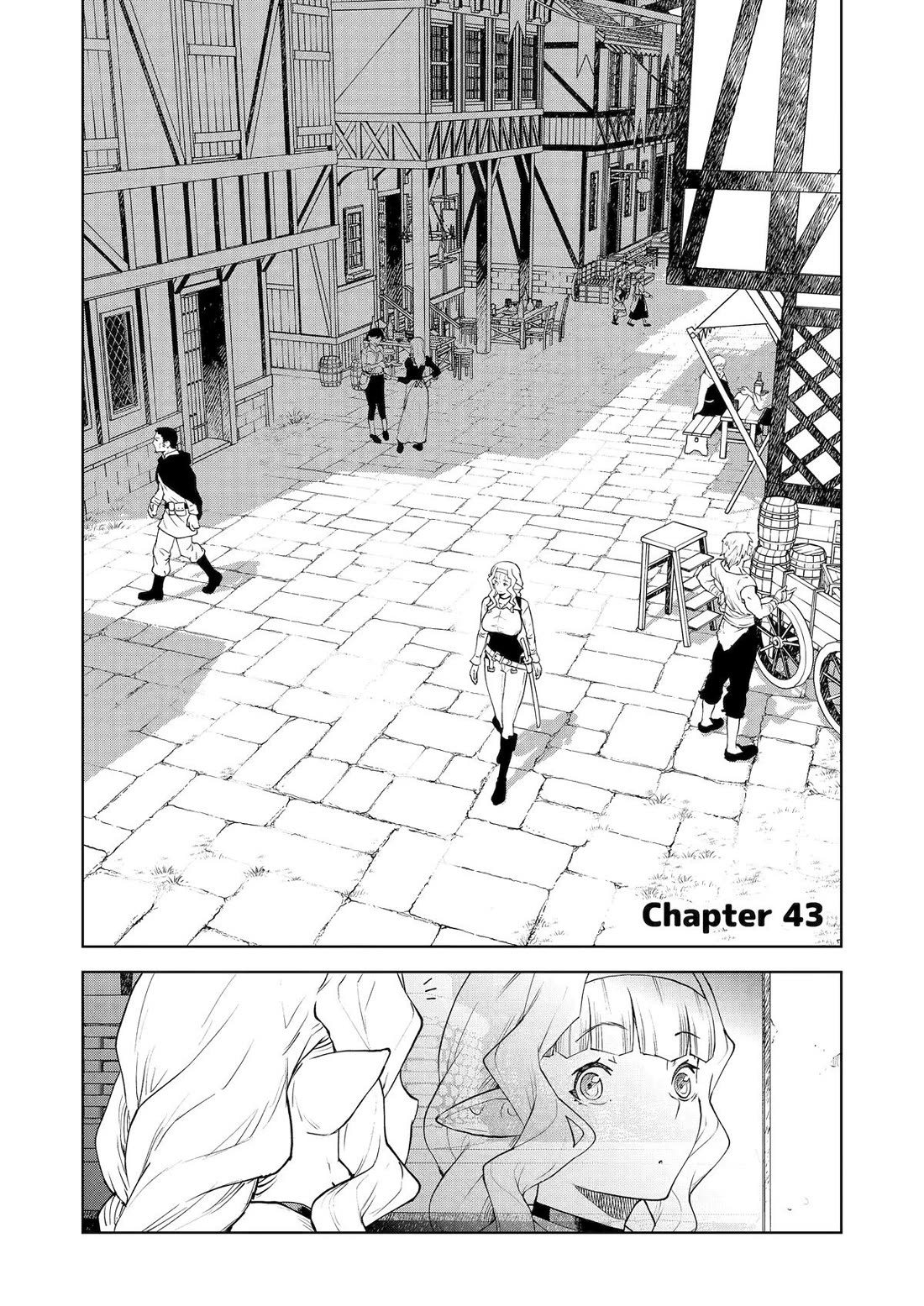 Even the Elf Captain Wants to be a Maiden Chapter 43 page 1 - Chapter 43