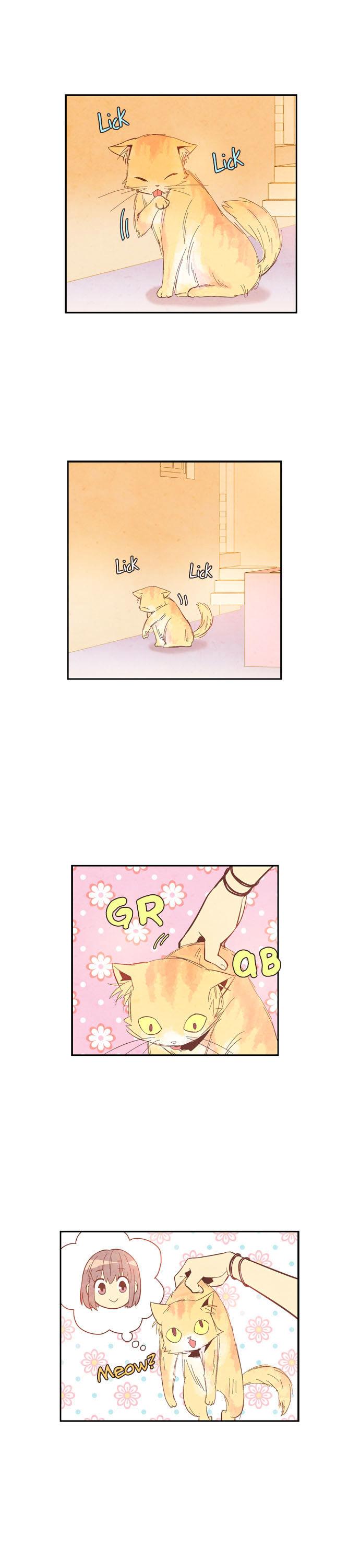 Evergreen Tea Shop Chapter 21 page 1 - Chapter 21 : Rooming Together
