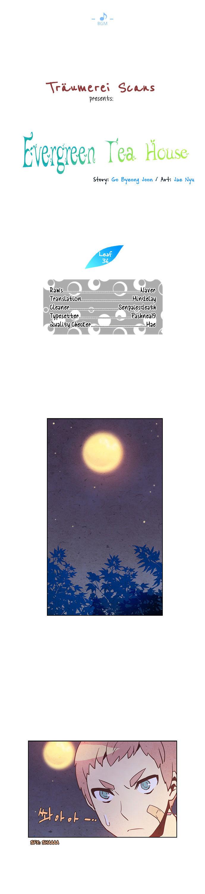 Evergreen Tea Shop Chapter 36 page 1 - Chapter 36 : Fireworks