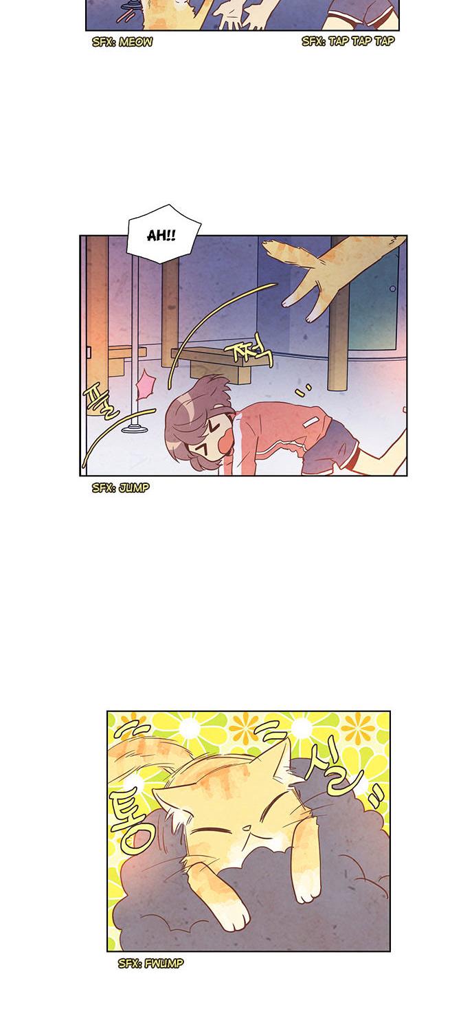 Evergreen Tea Shop Chapter 37 page 19 - Chapter 37 : Awkwardness