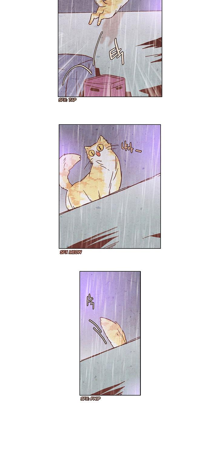 Evergreen Tea Shop Chapter 46 page 11 - Chapter 46 : Delicate Emotion