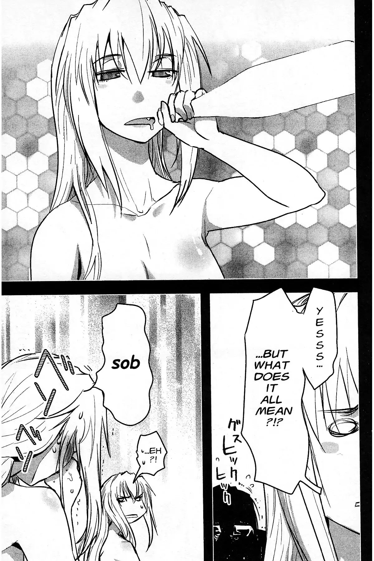 Excel Saga Chapter 27.3 page 13 - Vol.27 Mission 3: Miracle of Green