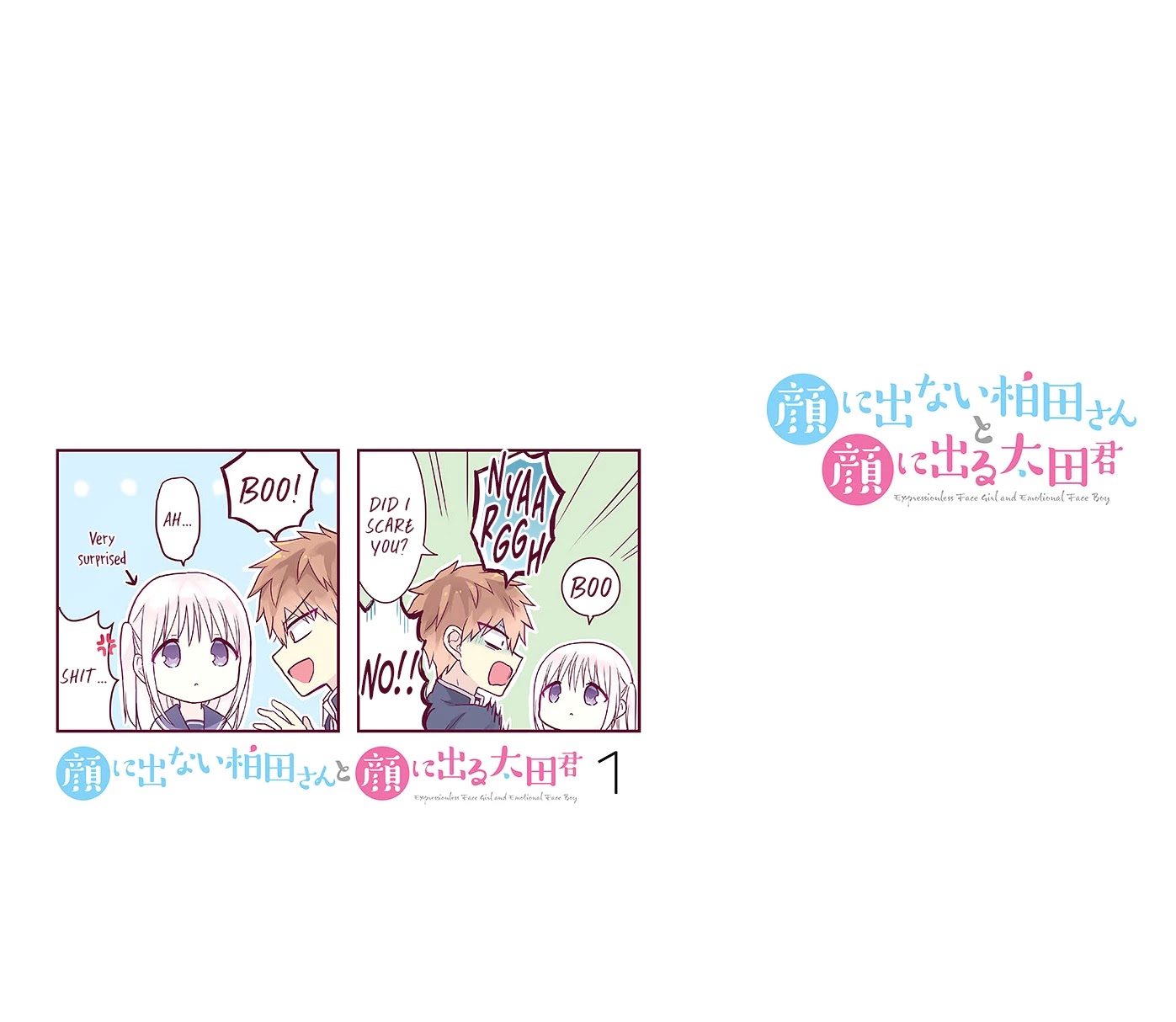 Expressionless Face Girl and Emotional Face Boy Chapter 13.5 page 11 - Chapter 13.5: Kashiwada-san's Kindergarten Memories