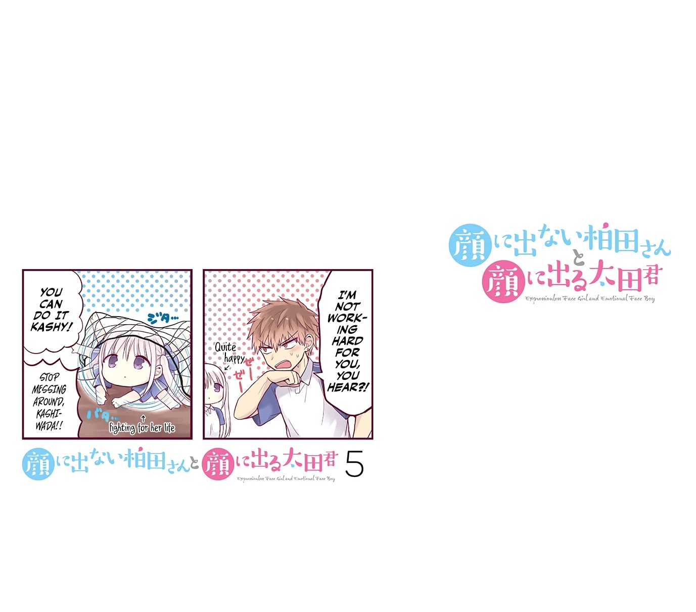Expressionless Face Girl and Emotional Face Boy Chapter 63.5 page 9 - Chapter 63.5: Kashiwada-san and Oota-kun's Sister