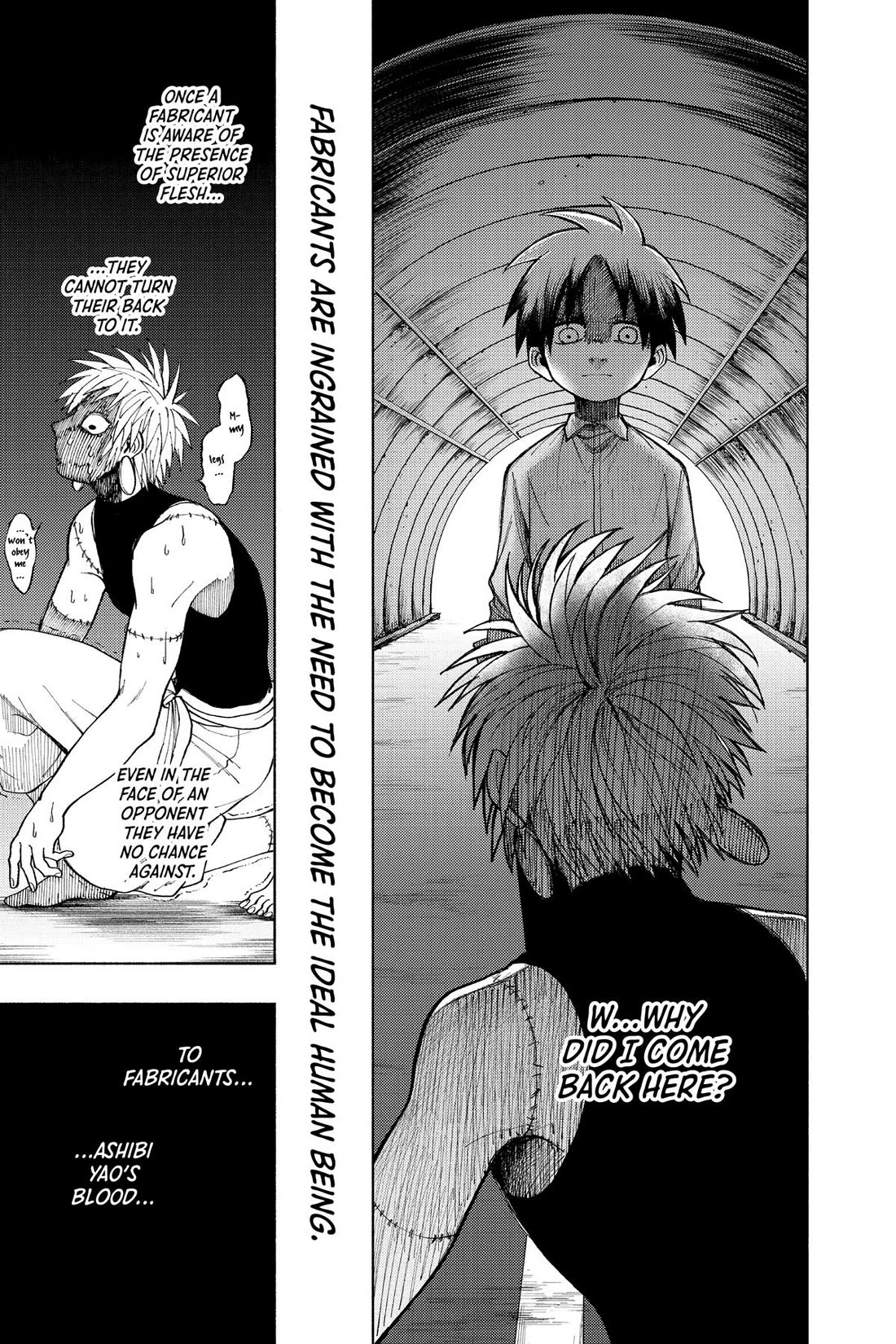 Fabricant 100 Chapter 36.6 page 41 - Chapter 36.6 [END]