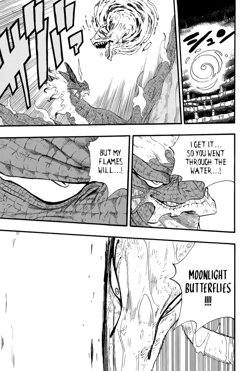 Fairy Tail: 100 Years Quest Chapter 107 page 14 - Chapter 107: Duel of the Dragons