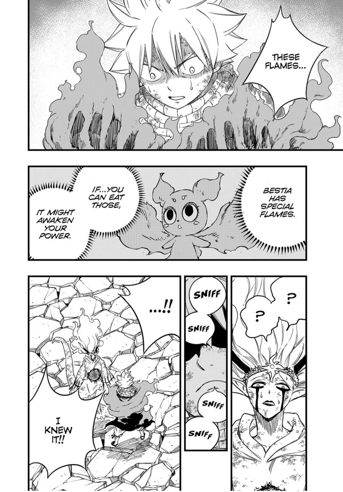 Fairy Tail: 100 Years Quest Chapter 197 page 14 - Chapter 197: The Flames' Smell