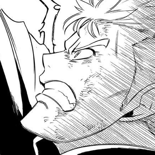 Fairy Tail: 100 Years Quest Chapter 222 cover