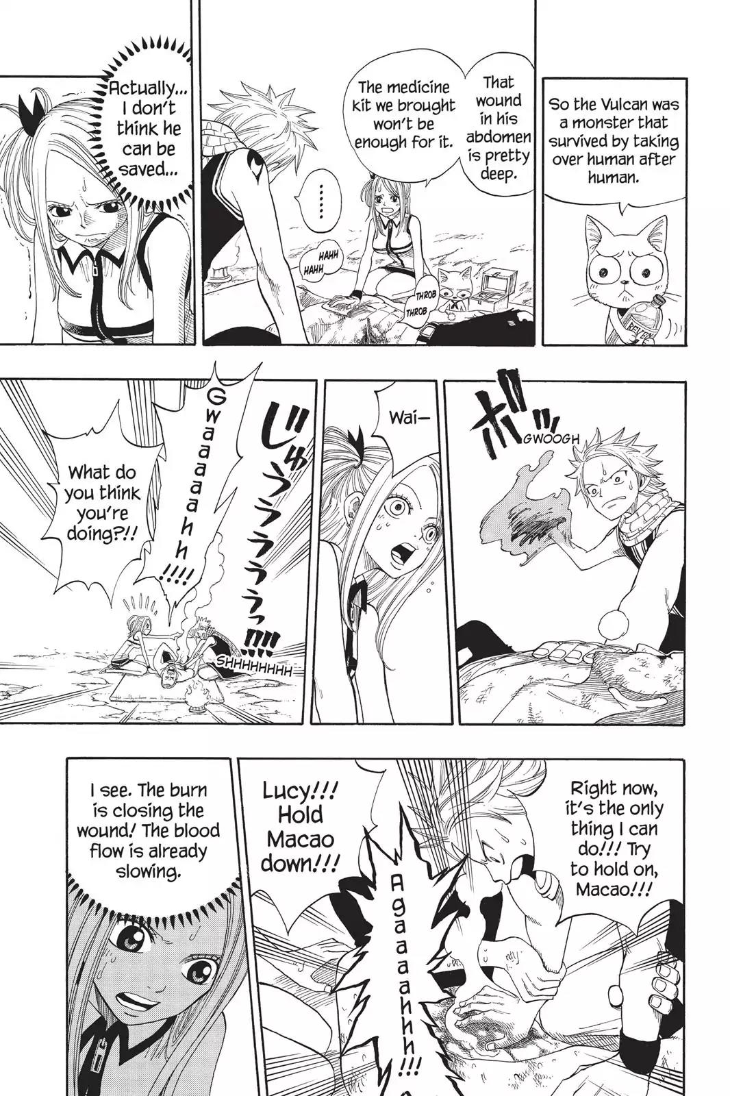 Fairy Tail Chapter 3 page 25 - Chapter 3: Fire Dragons And Monkeys And Cows