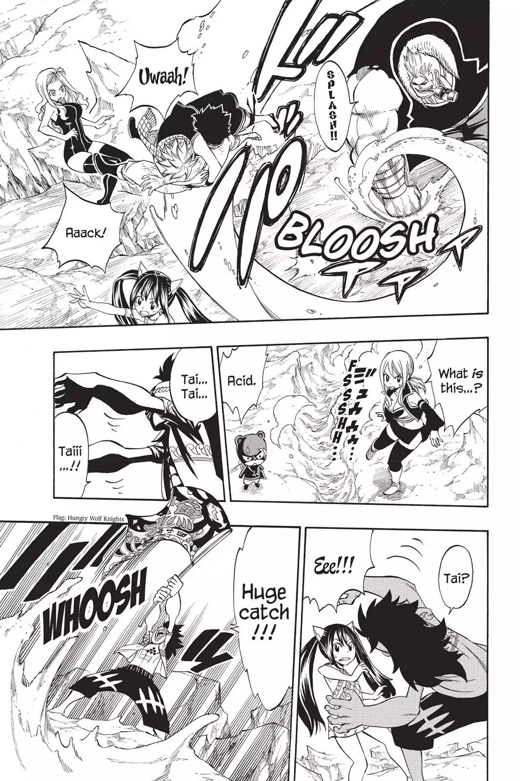 Fairy Tail Chapter 307 page 15 - Chapter 307: Hungry Wolf Knights