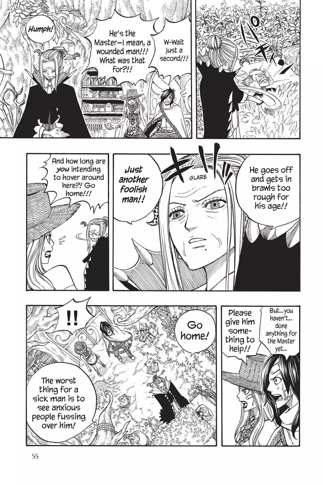 Fairy Tail Chapter 51 page 3 - Chapter 51: Vanity